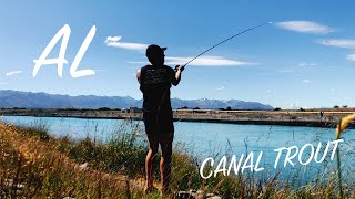 CATCHING TROUT IN HYDRO CANALS New Zealand  EP8 [upl. by Wall]