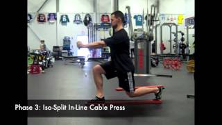 Cable Stability Press Progressions [upl. by Notlrahc]