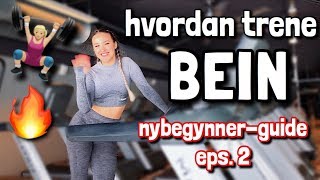 Nybegynner Styrketrening 2 BEIN  hvordan trene bein [upl. by Karlene237]