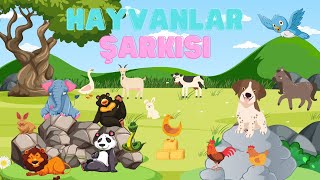 Sevimli Hayvan Şarkıları  7 Tane Hayvan Şarkısı  EĞİTİCİ ÇOCUK ŞARKILARI [upl. by Ausoj]