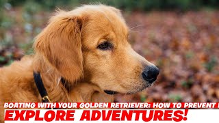 Boating with Your Golden Retriever How to Prevent Motion Sickness [upl. by Sparrow]