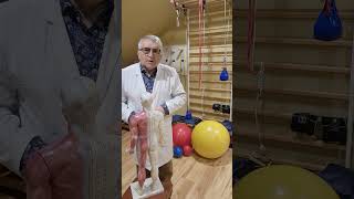 Neuro muscle osteoarticular diseases cj anatomy pain romania cluj shorts usa europe [upl. by Akem395]