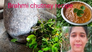 Mangalore village style Brahmi chutney 😋 healthy chutney [upl. by Jolene]