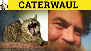 Caterwaul Caterwauling  Caterwaul Meaning  Caterwauling Examples  Caterwaul Definition [upl. by Laefar155]