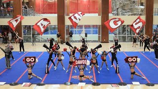 Navarro College Game Day NCA Daytona Showoff 2024 [upl. by Gerge]