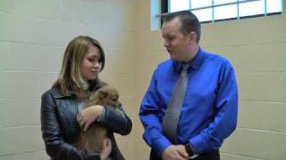 BC SPCA Shelter WalkThrough [upl. by Sugar]