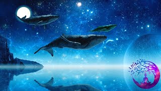 Relaxing Sleep Music • Deep Sleeping Music for Insomnia Stress Relief Sleep Meditation [upl. by Shiller]