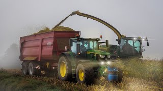 ProBody760 zur Maisernte🌽 im Weserbergland [upl. by Robyn]