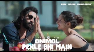 Pehle Bhi Main Tumse Mila Hun  Pehle Bhi Main  Slowed  Reverb   Animal  Vishal Mishraanimals [upl. by Titus]