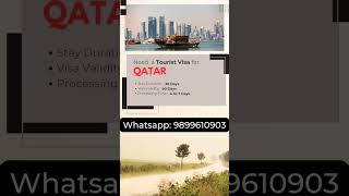 Qatar Visa  Qatar Visa Check shorts youtubeshorts trending [upl. by Ajna]