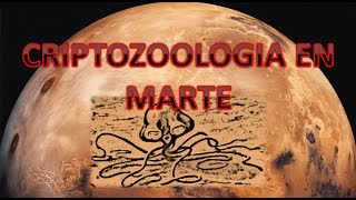 CRIPTOZOOLOGIA EN MARTE Fotografias de Marcianos reales  Criptozoología [upl. by Naivad]