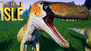 The Isle Realismo  Guerra De Utahraptor Disputa Por Território  Dinossauros 146 PTBR [upl. by Tareyn67]