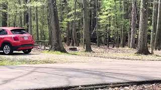 Shuttle Bus Camping for a night at Findley State Park [upl. by Proctor]