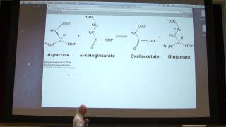 10 Kevin Aherns Biochemistry  Enzymes II [upl. by Palecek887]