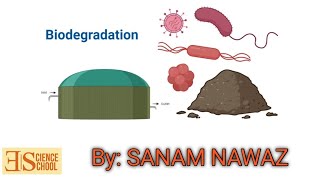 Use of Microbes in Biodegradation  Biotechnology  SANAM NAWAZ [upl. by Asirak]