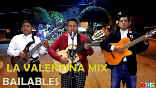 La Valentina mix Bailables  Grupo Musical Los Medina [upl. by Richy]