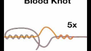 Blood Knot [upl. by Christy]