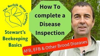 How To Complete a Disease Inspection  AFB EFB and Other Brood Diseases [upl. by Kcirret402]