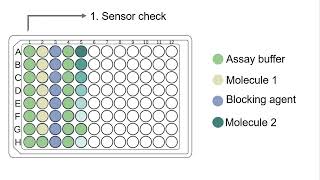 Biolayer interferometry [upl. by Fafa]