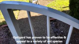 Optigard Ant Gel Review and Demonstration [upl. by Ynez85]