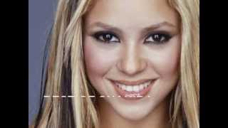 best of shakira 2013 remix megamix dance club pop [upl. by Adikam]