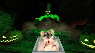 Hamster in Halloween Roller Coaster Maze 2022 [upl. by Fogel95]