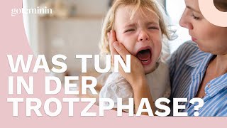 Trotzphase 3 Verhaltensregeln für Eltern bei einem akuten Trotzanfall [upl. by Higginbotham]