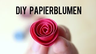 DIY Papierblumen ganz einfach selbst basteln  Anleitung [upl. by Yrruc471]