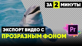 Экспорт с прозрачным фоном в Premiere Pro 🎬 Как сохранить видео с прозрачностью [upl. by Elatan504]