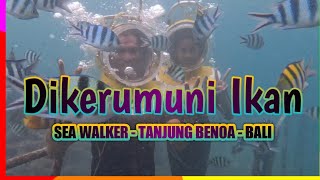 SEA WALKER TANJUNG BENOA BALI [upl. by Estrellita]