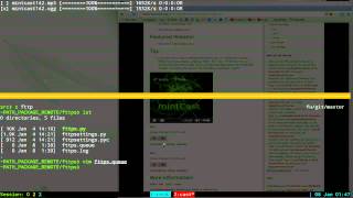 fttps  Download Manager  Linux TUI [upl. by Ellehcirt]