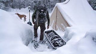 WINTER CAMPING in a Canvas Tent with My Dog using a Wood Stove for Heat and Cooking [upl. by Aciretahs504]