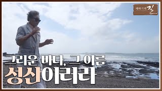 테마기행 길 그리운 바다 그 이름 성산이러라  여행 스케치  전주MBC 240927 방송 [upl. by Jeffy]