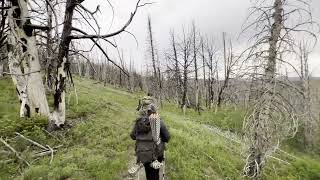 Jarbidge Nevada Elk and Mule Deer Scouting 2022 [upl. by Sucramed]