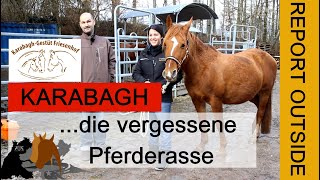 Gestüt Friesenhof KARABAGH die fast vergessene Pferderasse [upl. by Gemma866]