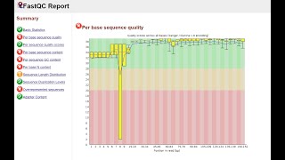 10 Maîtriser lAnalyse de Qualité des Données de Séquençage avec FastQC et NanoPlot [upl. by Delano]