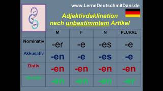 Learn German  Adjektivendungen  Dativ  German for beginners  A2  Lesson 7 [upl. by Niuq]