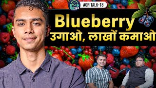 Berry की खेती कैसे करें  Profitable Farming From Small Land in India  AgriTalk  Hindi Video [upl. by Ellehcor944]