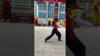 Kung Fu show in Chinatown [upl. by Alekehs]