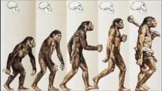 Evolutionary Predictions [upl. by Llenrep]