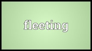 Fleeting Meaning [upl. by Nrev]