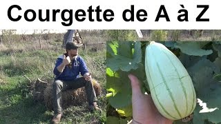 La Courgette de A à Z presque [upl. by Esorlatsyrc]