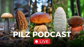 Pilz Podcast Live 68 mit derpilzfluesterer [upl. by Veal]