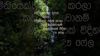 නිවන් දකින්න කාලය පැමිණ ඇත nibbana motivation dhammadesna [upl. by Daenis983]