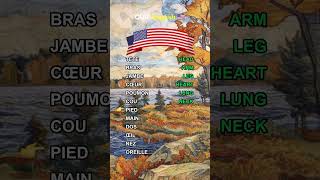 Mettez votre vocabulaire Anglais à lépreuve quiz english french learnenglish ingles quiztime [upl. by Poul]