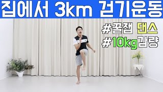 따라하기 쉬운 다이어트 댄스 무조건 살빠지는 3km 걷기운동 [upl. by Amelina]