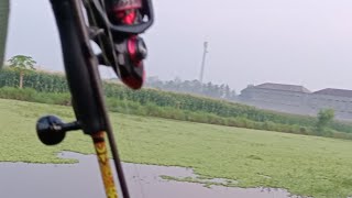 Air naik kita gass casting ikan gabus [upl. by Mussman175]