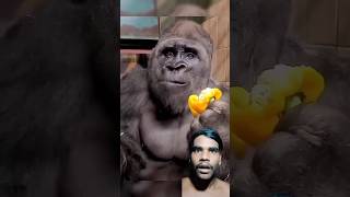 Man Changed into a real Gorilla In America got talent Show  Duo Schumacher AGT americagottalent [upl. by Dnalkrik900]