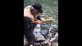 Trout Fishing At Chimney Rock [upl. by Harberd]