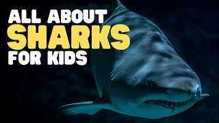 All About Sharks for Kids  What is a shark Shark facts for kids [upl. by Yt887]